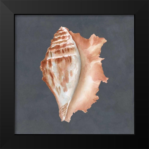 Shell on Slate IX Black Modern Wood Framed Art Print by Meagher, Megan