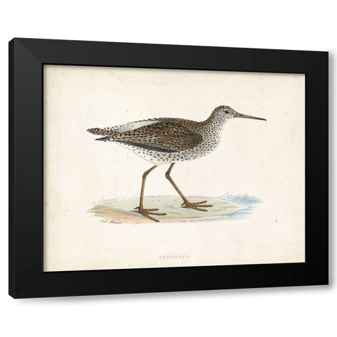 Morris Sandpiper V Black Modern Wood Framed Art Print by Morris