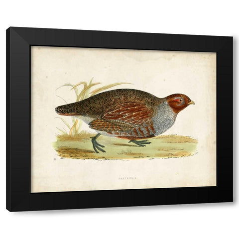 Morris Pheasants I Black Modern Wood Framed Art Print by Morris