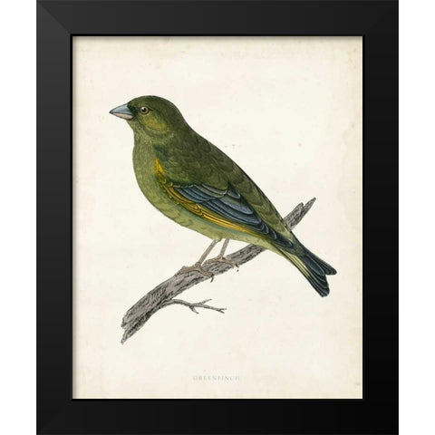 Morris Greenfinch Black Modern Wood Framed Art Print by Morris