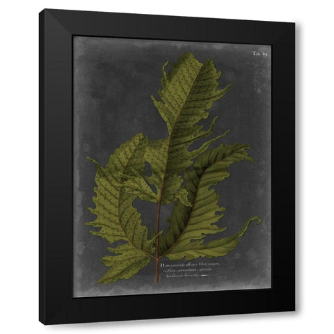 Foliage Dramatique I Black Modern Wood Framed Art Print with Double Matting by Vision Studio