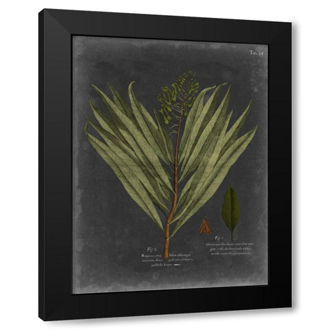 Foliage Dramatique II Black Modern Wood Framed Art Print with Double Matting by Vision Studio