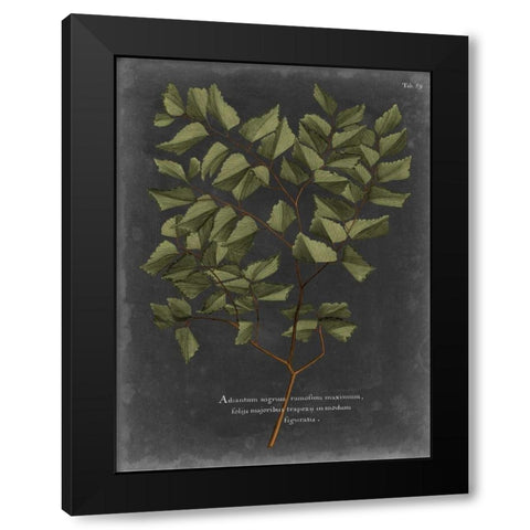 Foliage Dramatique V Black Modern Wood Framed Art Print with Double Matting by Vision Studio