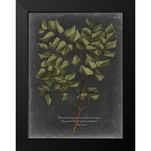Foliage Dramatique V Black Modern Wood Framed Art Print by Vision Studio