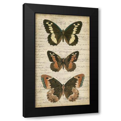 Butterfly Script I Black Modern Wood Framed Art Print with Double Matting by Vision Studio