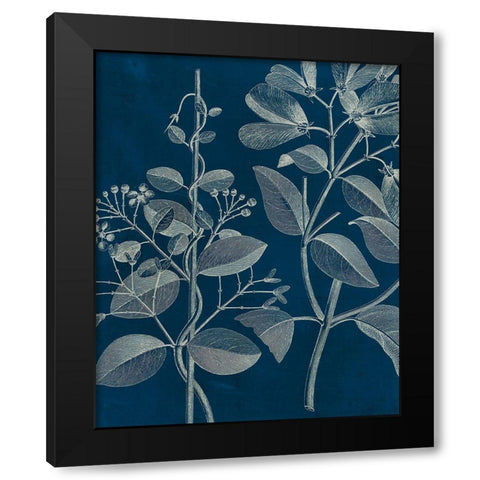 Modern Botany I Black Modern Wood Framed Art Print with Double Matting by Vision Studio