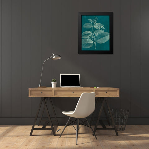 Modern Botany II Black Modern Wood Framed Art Print by Vision Studio