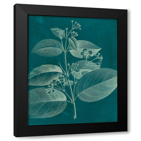 Modern Botany II Black Modern Wood Framed Art Print with Double Matting by Vision Studio
