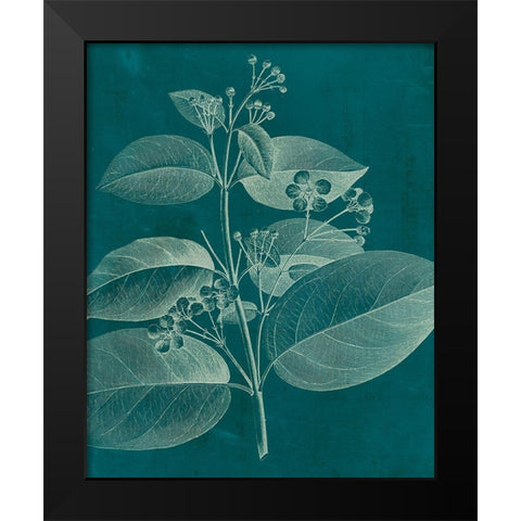 Modern Botany II Black Modern Wood Framed Art Print by Vision Studio