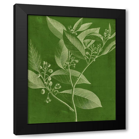 Modern Botany IV Black Modern Wood Framed Art Print with Double Matting by Vision Studio