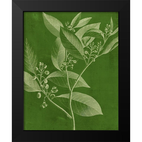 Modern Botany IV Black Modern Wood Framed Art Print by Vision Studio