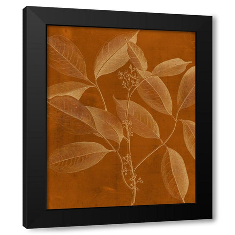 Modern Botany VI Black Modern Wood Framed Art Print with Double Matting by Vision Studio