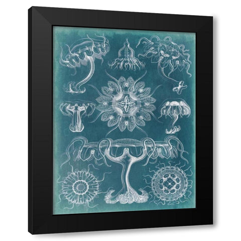 Sealife Blueprint III Black Modern Wood Framed Art Print with Double Matting by Vision Studio