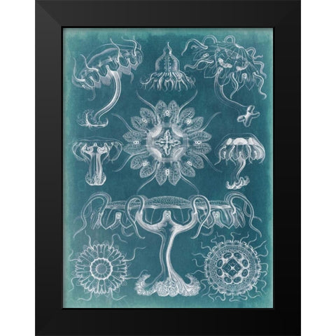 Sealife Blueprint III Black Modern Wood Framed Art Print by Vision Studio