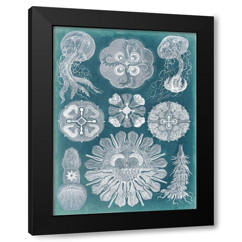 Sealife Blueprint IV Black Modern Wood Framed Art Print by Vision Studio
