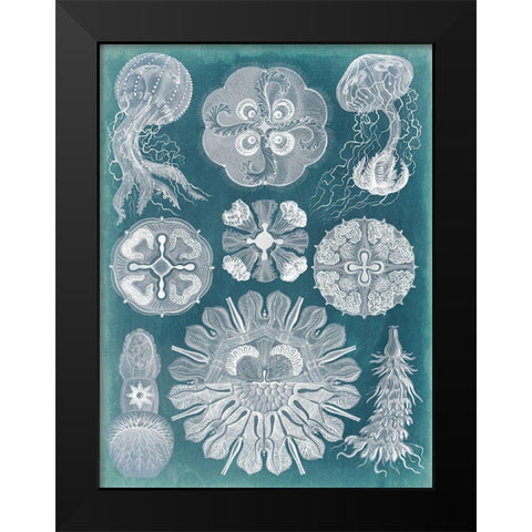 Sealife Blueprint IV Black Modern Wood Framed Art Print by Vision Studio