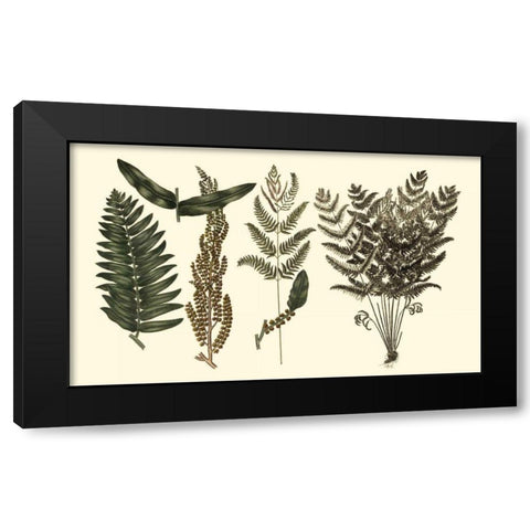 Fern Leaf Folio I Black Modern Wood Framed Art Print by Oeder, Georg C.