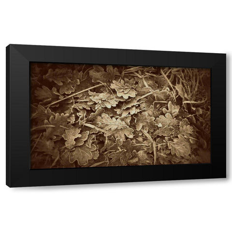 Autumn Leaves Black Modern Wood Framed Art Print by Bell, Lillian
