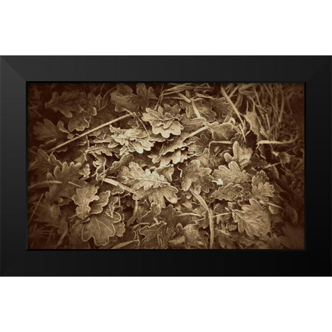 Autumn Leaves Black Modern Wood Framed Art Print by Bell, Lillian