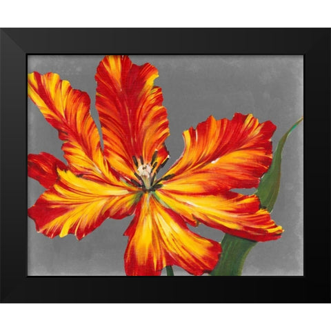 Tulip Portrait II Black Modern Wood Framed Art Print by OToole, Tim