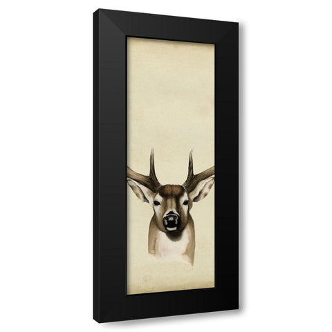 Triptych Whitetail II Black Modern Wood Framed Art Print with Double Matting by Popp, Grace