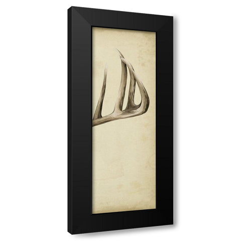 Triptych Whitetail III Black Modern Wood Framed Art Print with Double Matting by Popp, Grace