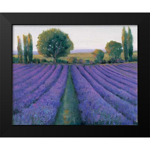 Lavender Field II Black Modern Wood Framed Art Print by OToole, Tim