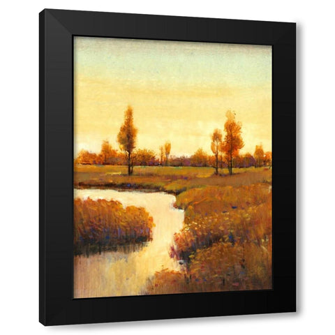 Spring Water II Black Modern Wood Framed Art Print by OToole, Tim