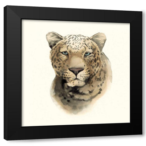 Safari Cat I Black Modern Wood Framed Art Print with Double Matting by Popp, Grace