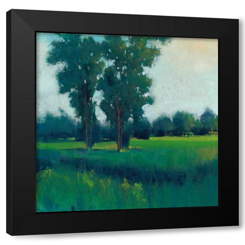 Afternoon Sun I Black Modern Wood Framed Art Print by OToole, Tim