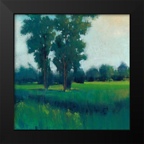 Afternoon Sun I Black Modern Wood Framed Art Print by OToole, Tim