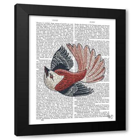 Sideshow Bird 2 Book Print Black Modern Wood Framed Art Print with Double Matting by Fab Funky