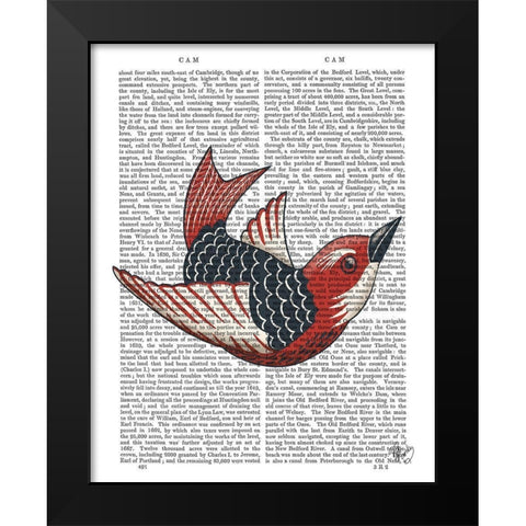 Sideshow Bird 4 Book Print Black Modern Wood Framed Art Print by Fab Funky