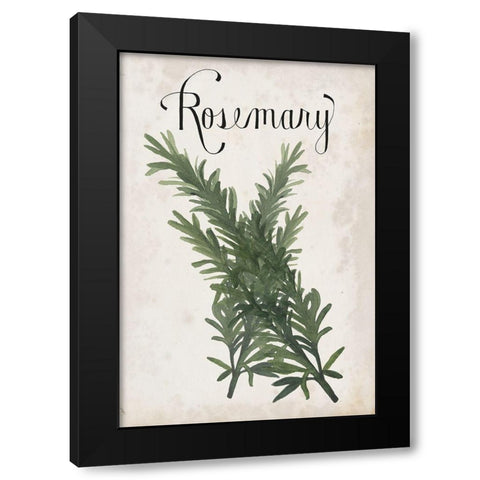 Herb Collection D Black Modern Wood Framed Art Print with Double Matting by Popp, Grace