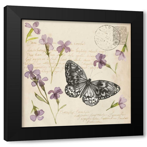 Pressed Flower Collection A Black Modern Wood Framed Art Print with Double Matting by Popp, Grace