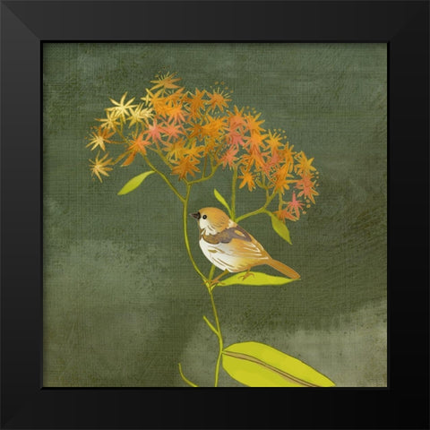 Birding Collection C Black Modern Wood Framed Art Print by Zarris, Chariklia