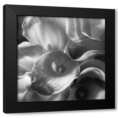 Calla Lillie Bouquet Black Modern Wood Framed Art Print with Double Matting by Bogle, Collin