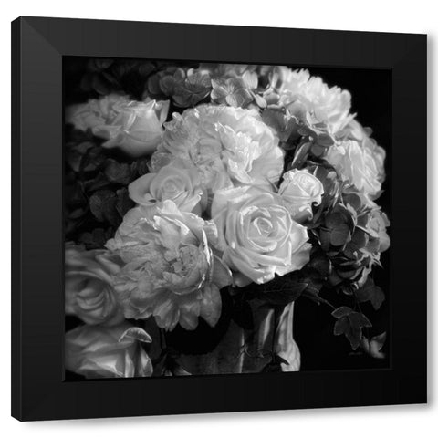 Rhapsody in Bloom - BandW Black Modern Wood Framed Art Print with Double Matting by Bogle, Collin