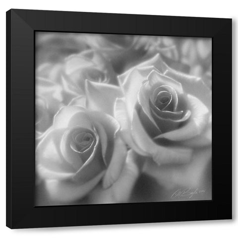 Rose Pair BandW Black Modern Wood Framed Art Print with Double Matting by Bogle, Collin