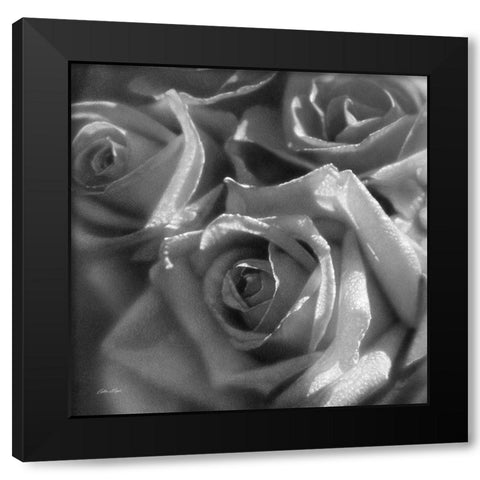 Rose Pedals BandW Black Modern Wood Framed Art Print with Double Matting by Bogle, Collin