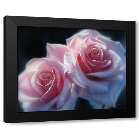 Roses - Pink Pair Black Modern Wood Framed Art Print with Double Matting by Bogle, Collin