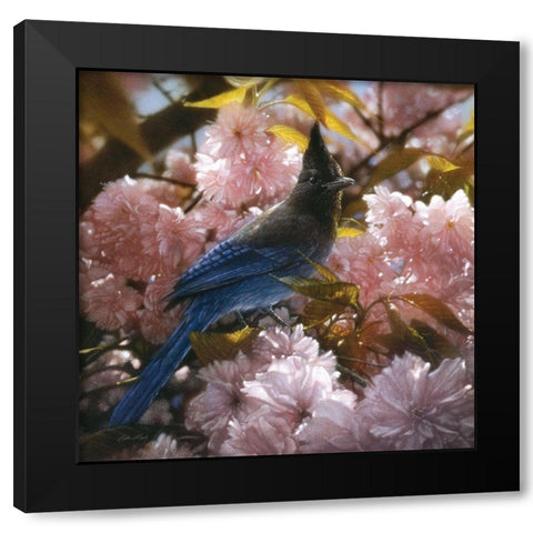Stellers Blossoms Black Modern Wood Framed Art Print by Bogle, Collin