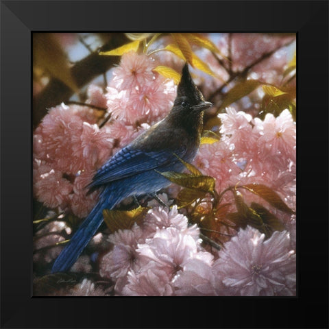 Stellers Blossoms Black Modern Wood Framed Art Print by Bogle, Collin