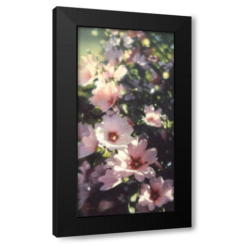 Summer Flowers Black Modern Wood Framed Art Print by Bogle, Collin