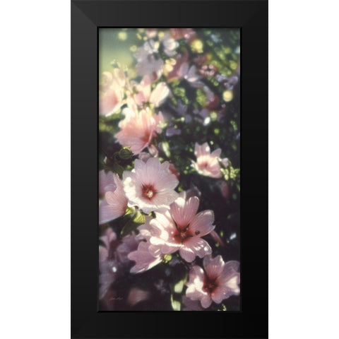 Summer Flowers Black Modern Wood Framed Art Print by Bogle, Collin