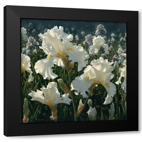 White Iris Garden - Square Black Modern Wood Framed Art Print with Double Matting by Bogle, Collin
