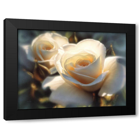 White Roses - Colors of White Black Modern Wood Framed Art Print with Double Matting by Bogle, Collin