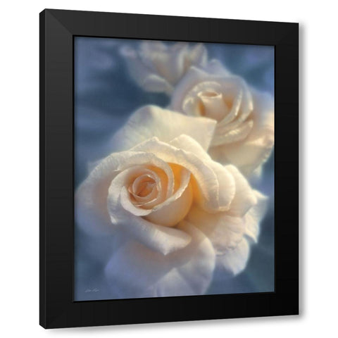 White Roses - Unforgettable Black Modern Wood Framed Art Print with Double Matting by Bogle, Collin