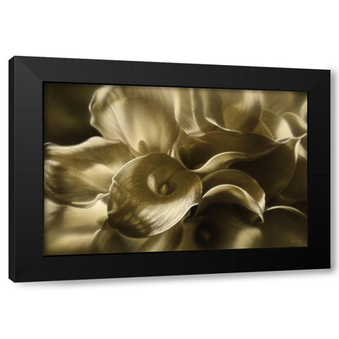 Golden Lilies Black Modern Wood Framed Art Print by Bogle, Collin