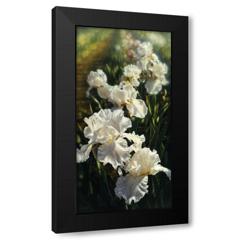 Iris Garden Black Modern Wood Framed Art Print with Double Matting by Bogle, Collin